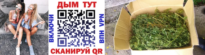 Каннабис Bruce Banner Касимов
